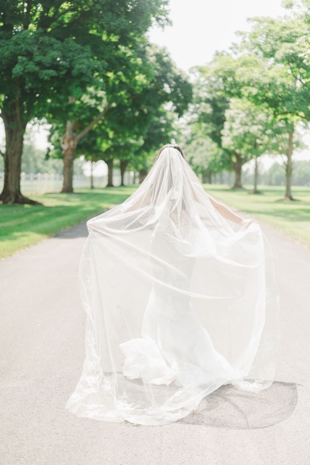 Long wedding veil catches breeze on garden path with green trees at darby house