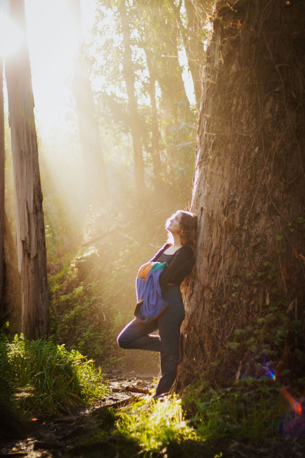 Silhouette of person stretching in sunlit forest among tall redwood trees.