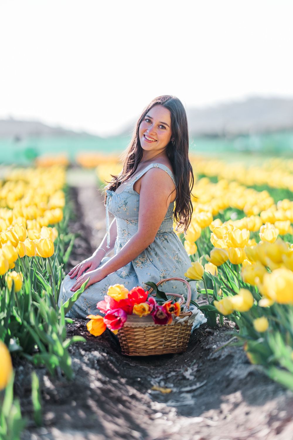Person in a sundress poses with a basket of colorful tulips in a vast yellow flower field.