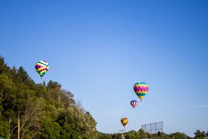 Multiple hot air balloons dotting the clear blue sky during a daytime festival.