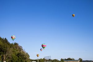 Hot air balloons floating gracefully in a bright blue sky above a wooded area.