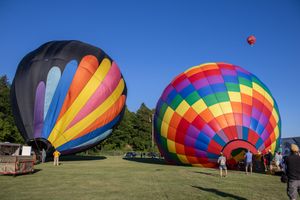 Multiple hot air balloons in various stages of inflation spread across a grassy field.