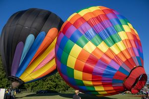 Rainbow-colored hot air balloons line up on the ground during a balloon festival.