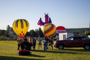 Multiple hot air balloons and a purple inflatable figure in a field at sunset.