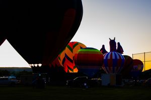 Dark silhouettes of hot air balloons against a dusky evening sky.