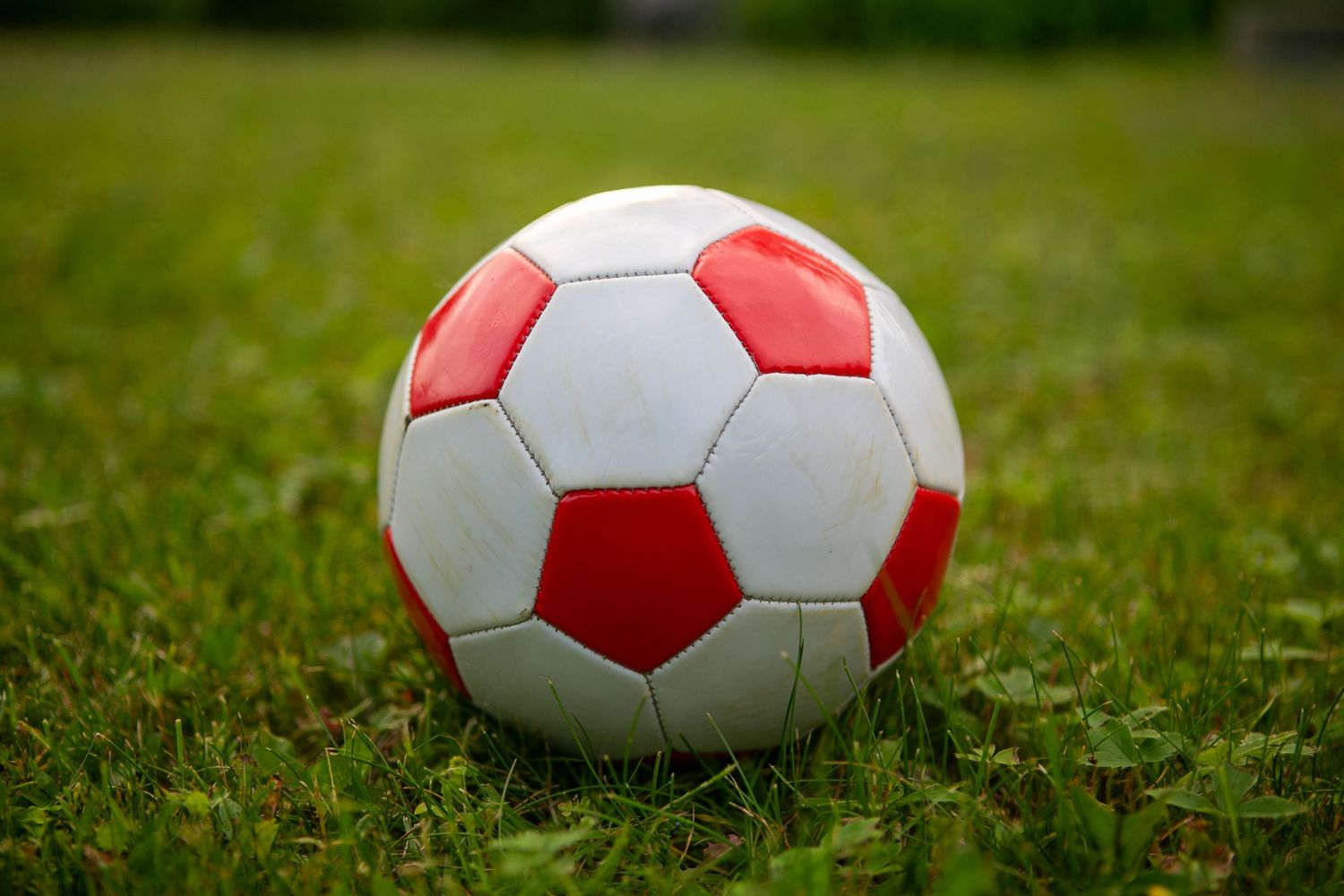 Red and white soccer balls arranged across natural grass sports field.