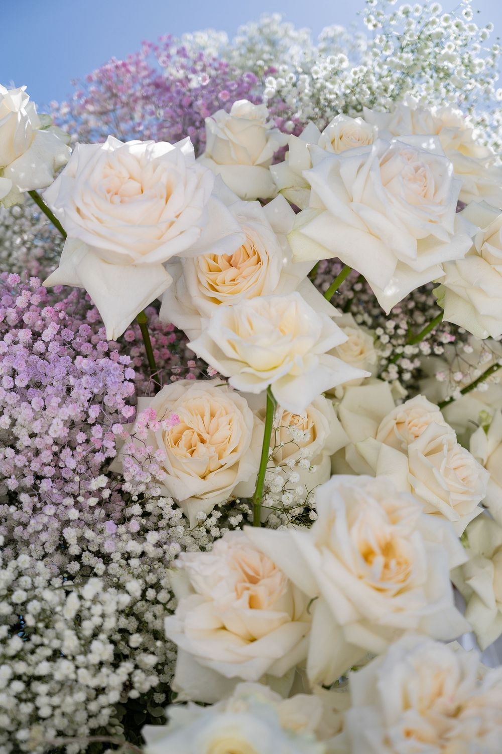 Elegant white roses and delicate baby's breath flowers arranged in a soft, dreamy composition with a pastel color palette.