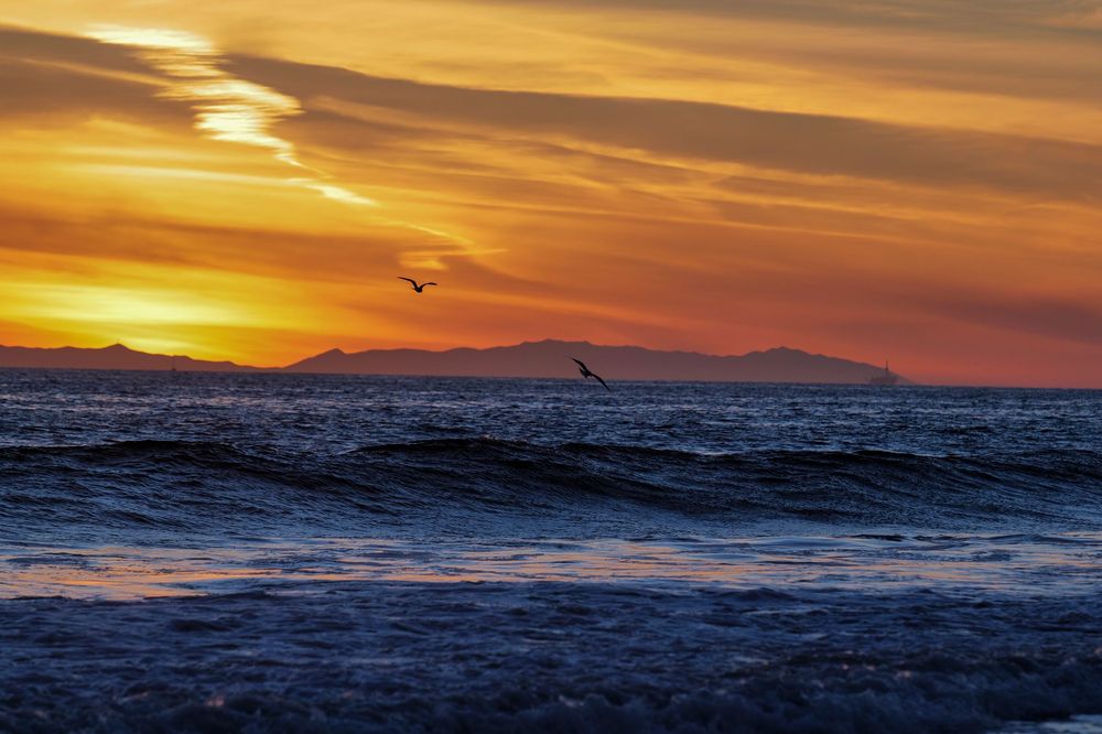 Dramatic golden sunset over ocean waves with silhouetted seabirds in flight.
