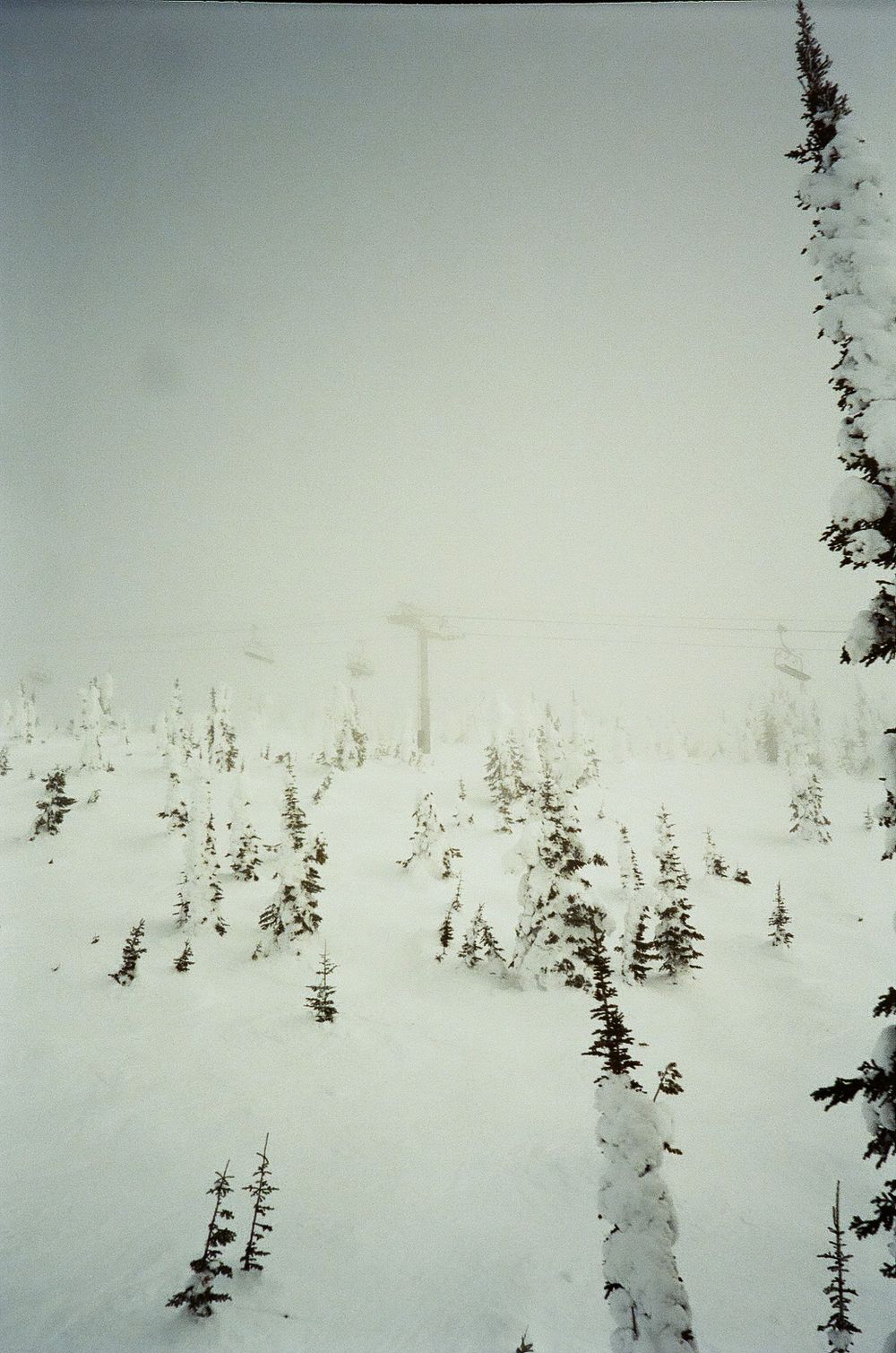 Misty winter landscape with snow-covered evergreen trees and ski lift poles visible in the distance.