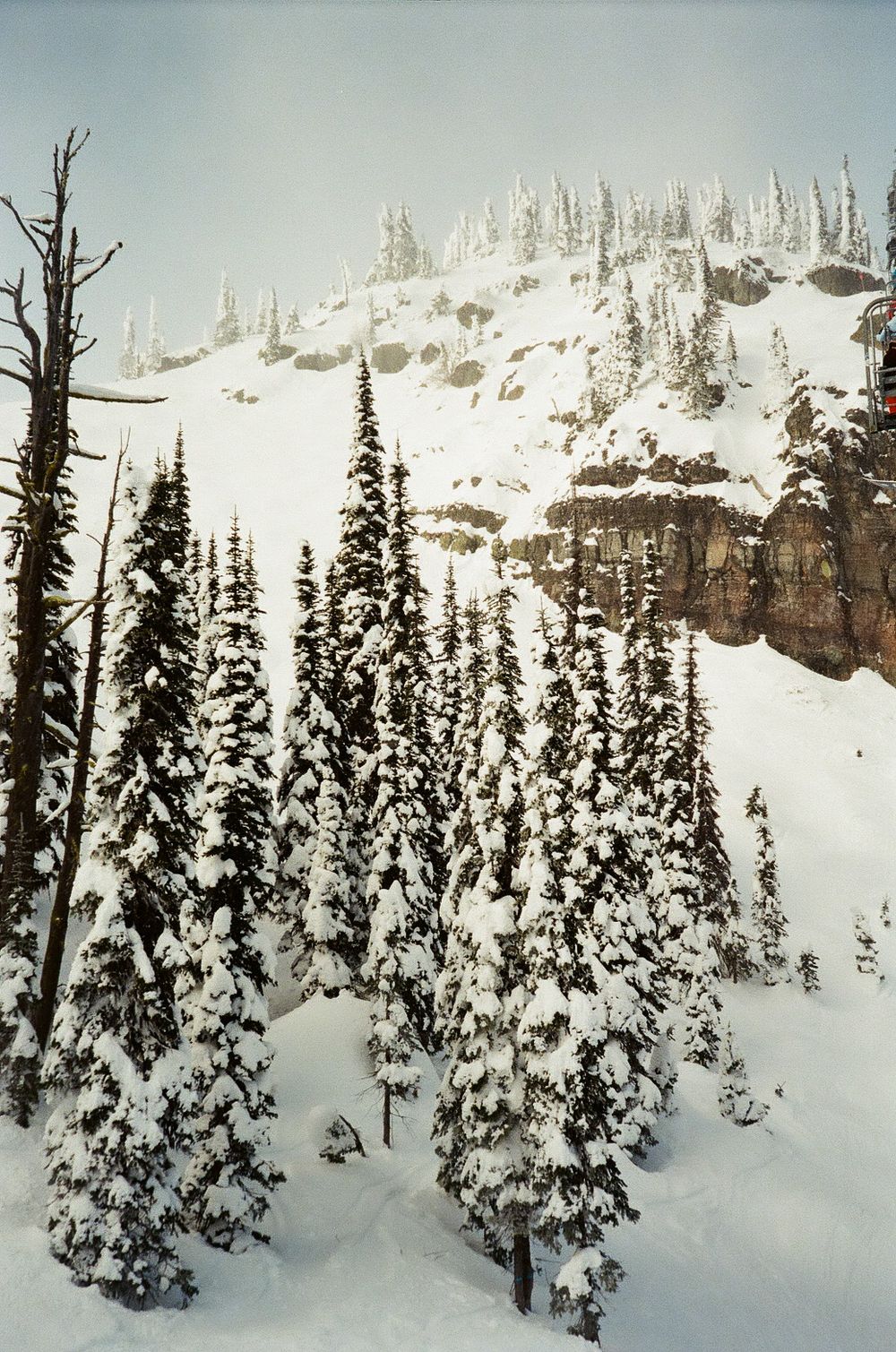Snow-covered evergreen forest beneath rocky mountain peaks in winter.