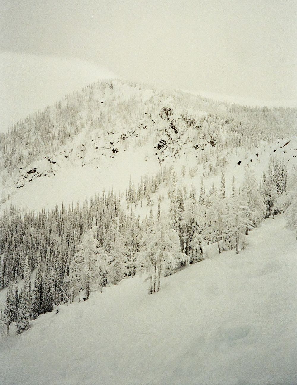 Snow covered mountain slopes with sparse evergreen trees creating a monochromatic winter landscape.
