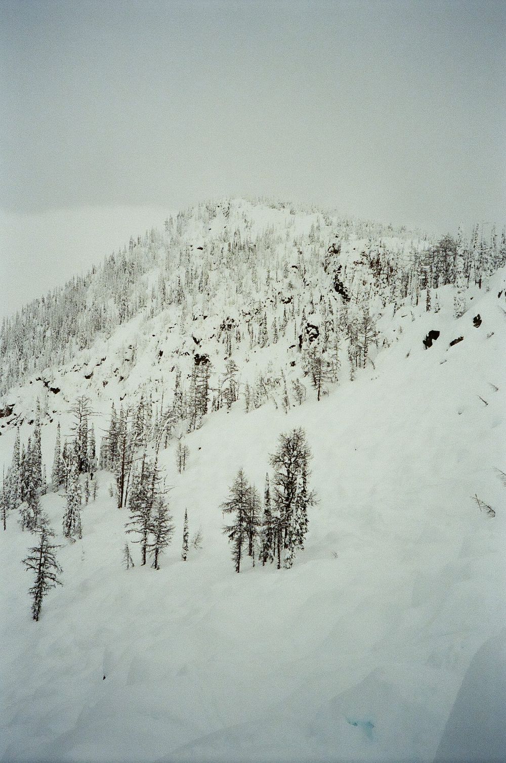 Snow-blanketed mountainside with sparse evergreen trees scattered across the steep terrain.
