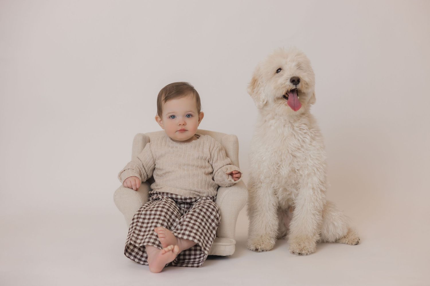 A baby in beige sweater sits next to a fluffy white dog on a neutral backdrop during a professional photo session.