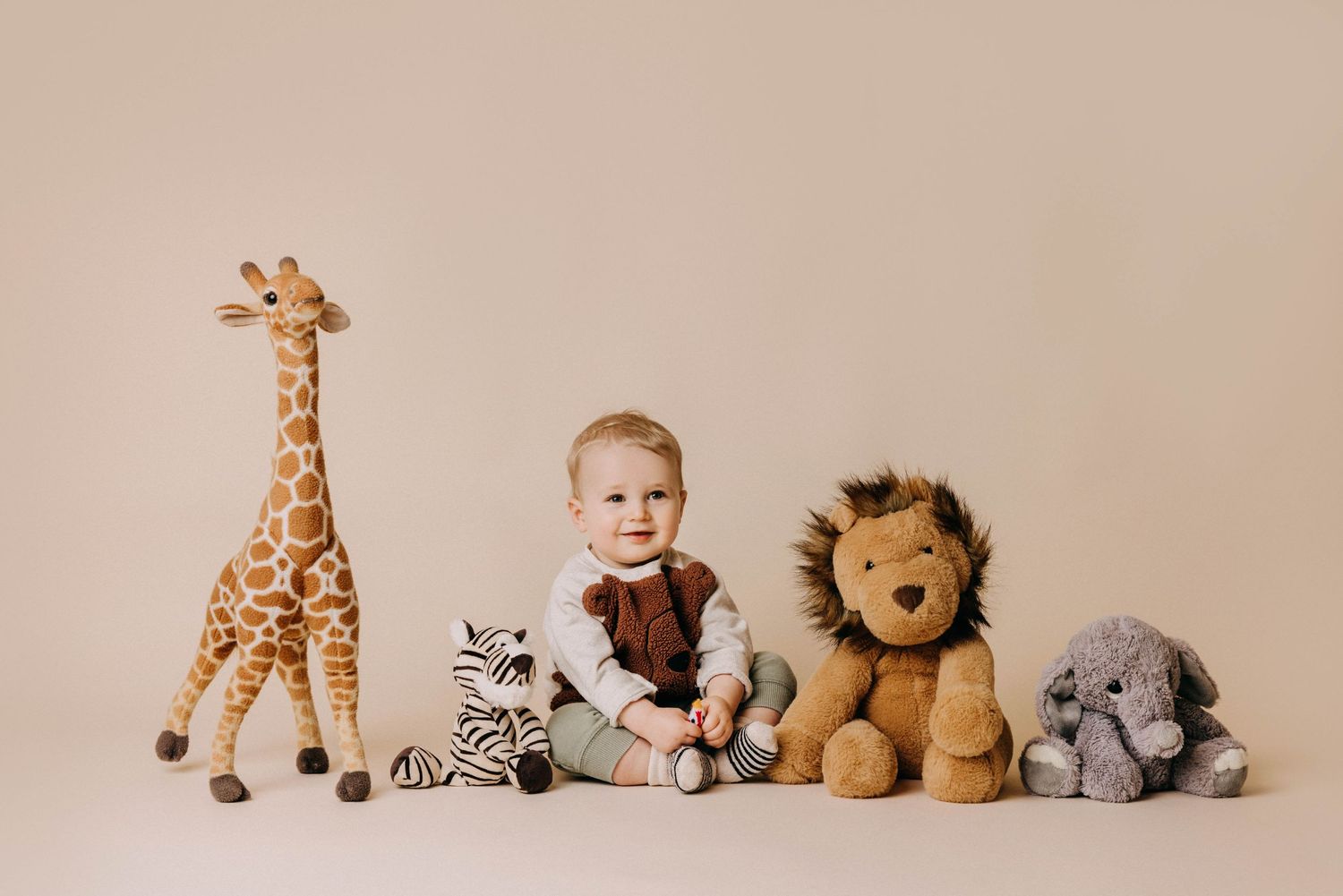 Studio portrait with collection of stuffed animal toys arranged in a row.