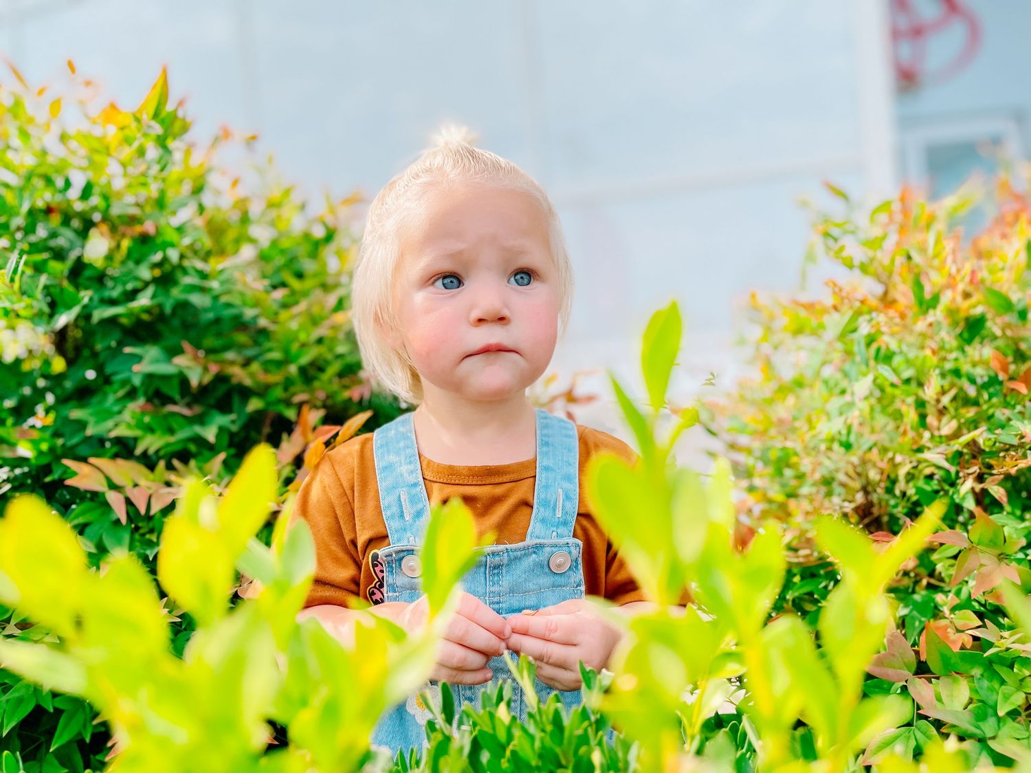 Young child playing outdoors in a sunny garden with vibrant yellow flowers and greenery.
