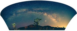 Beautiful desert night scene showing the Milky Way galaxy over mountains with a silhouetted Joshua Tree in the foreground.