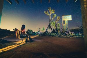 A person sits on a bench at sunset near Joshua Trees in the desert, with a motel sign glowing in the distance.