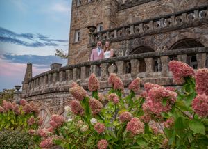 Pink hydrangea flowers bloom against a rustic stone castle wall backdrop in autumn.