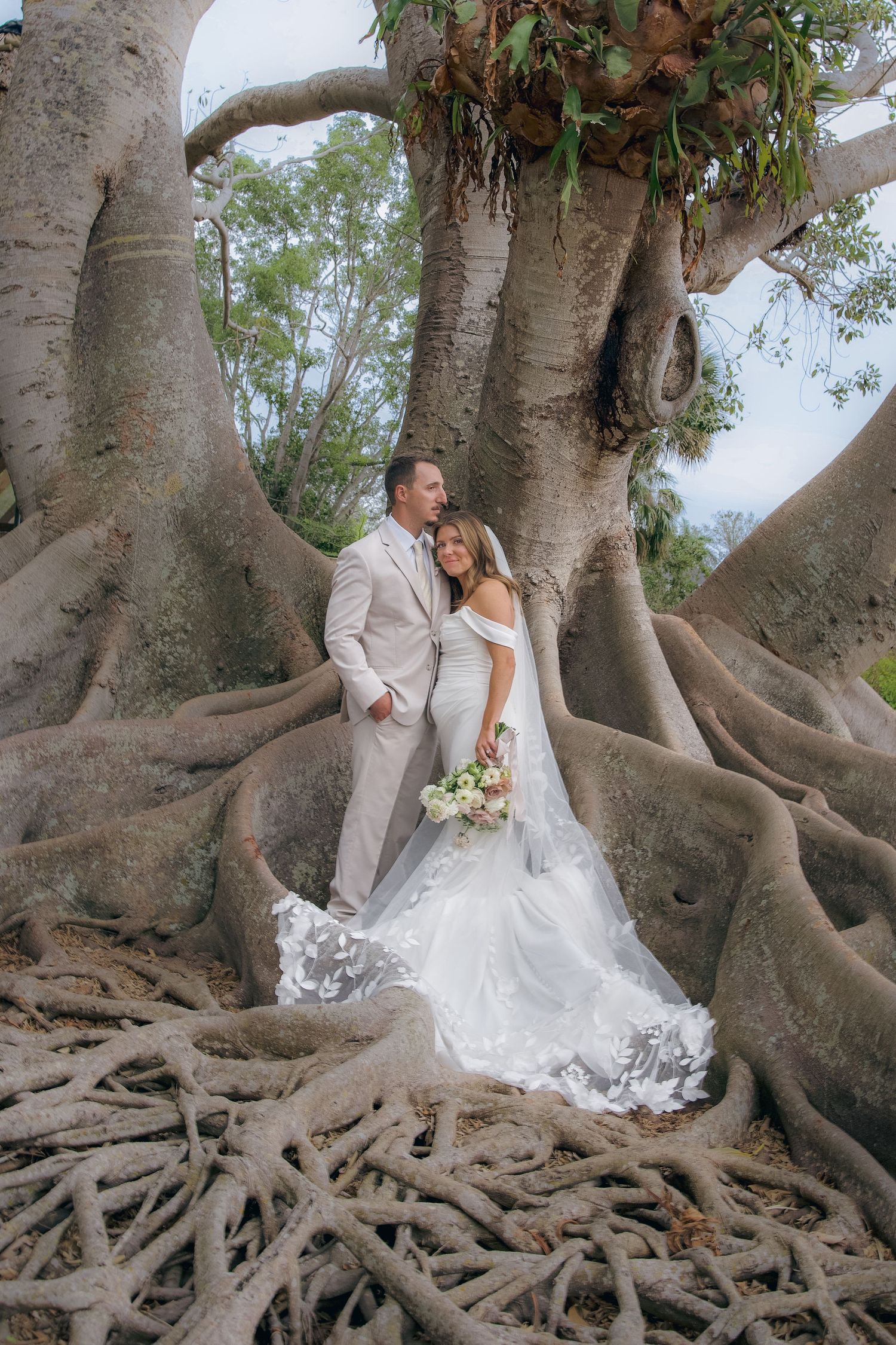 A couple in wedding attire sits together on the exposed roots of a majestic Moreton Bay fig tree in a romantic setting.