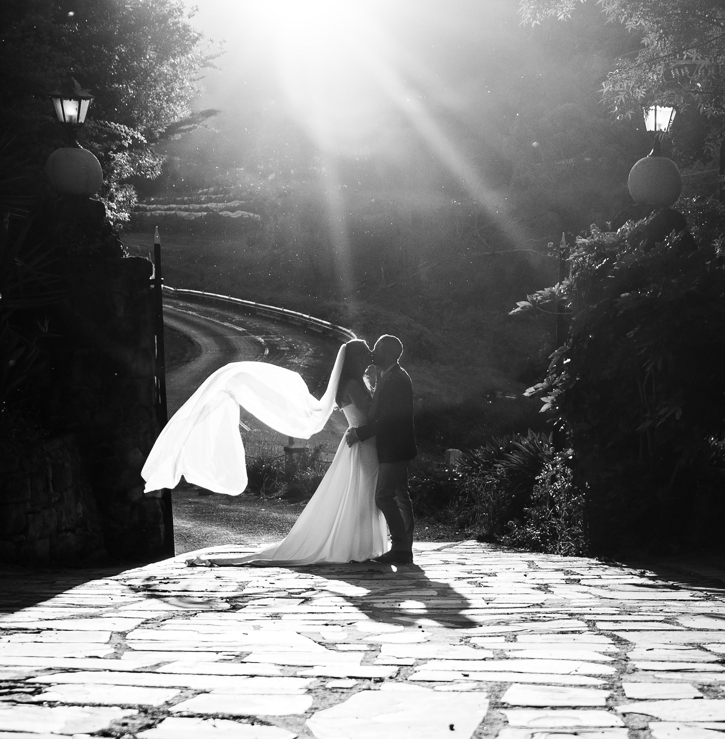 Classic wedding photography of bride and groom portraits at The Manor, SA captured by Wollongong Wedding Photographer Serene Coleman
