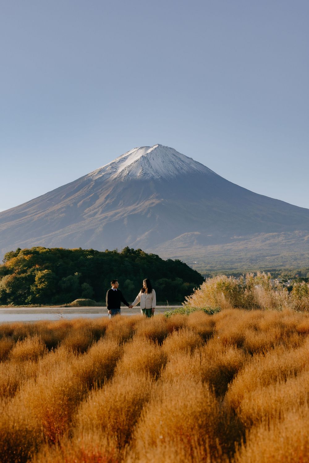 Panoramic view of Mount Fuji with golden autumn grass in the foreground and two people walking on a distant hill.