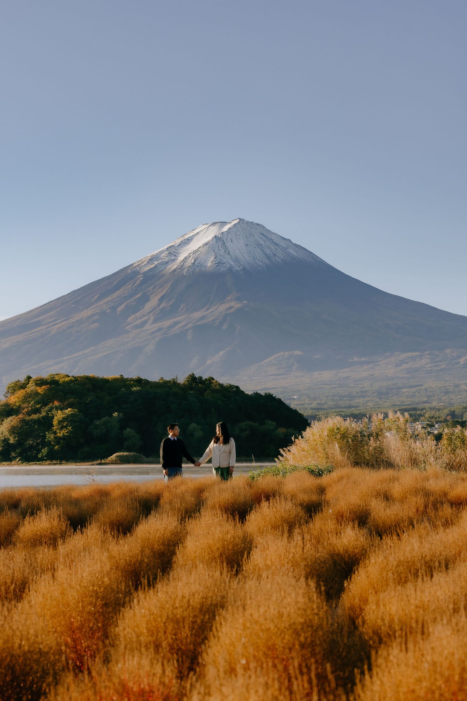 Panoramic view of Mount Fuji with golden autumn grass in the foreground and two people walking on a distant hill.