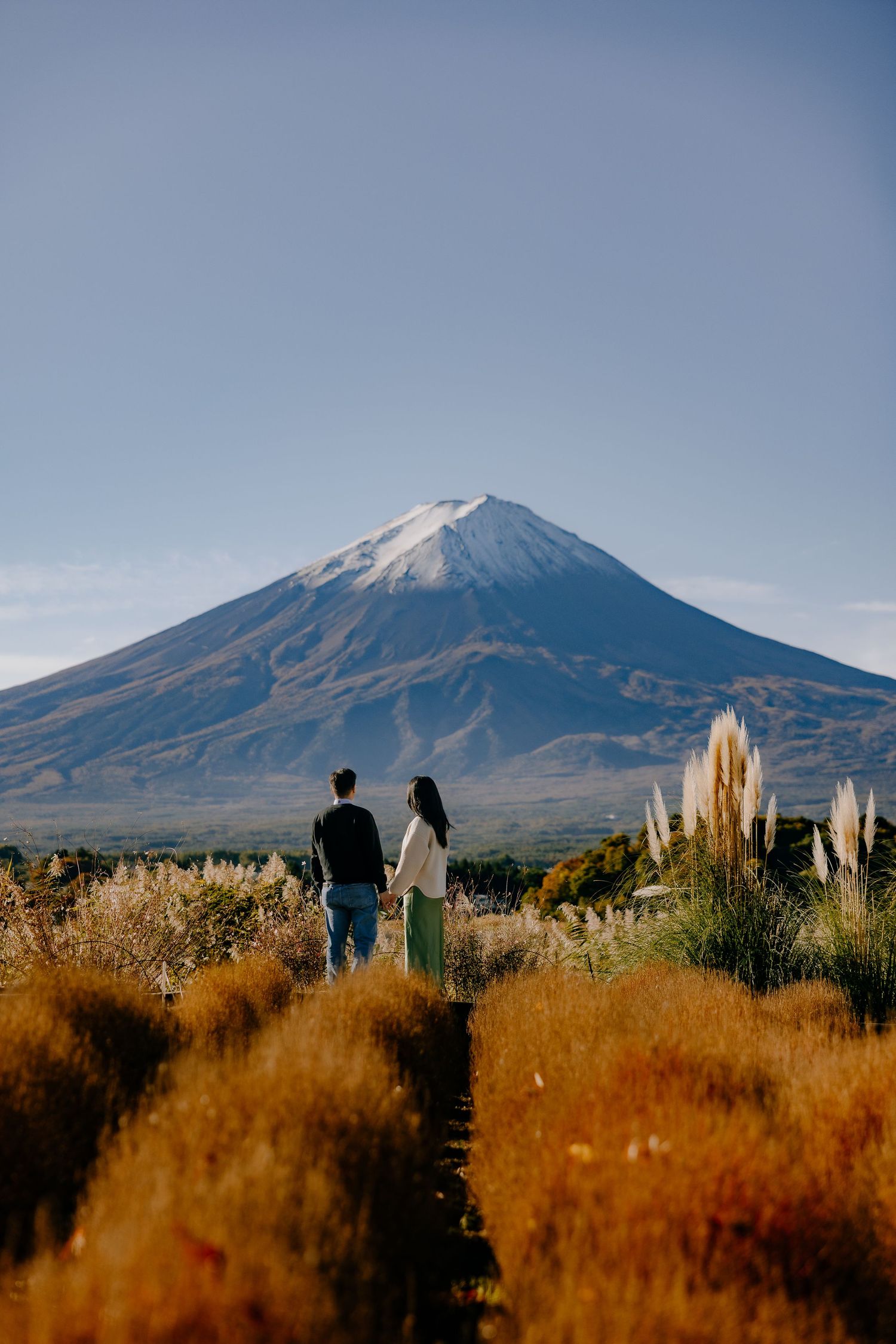Scenic view of Mount Fuji with golden pampas grass fields and silhouetted figures in the foreground against blue sky.