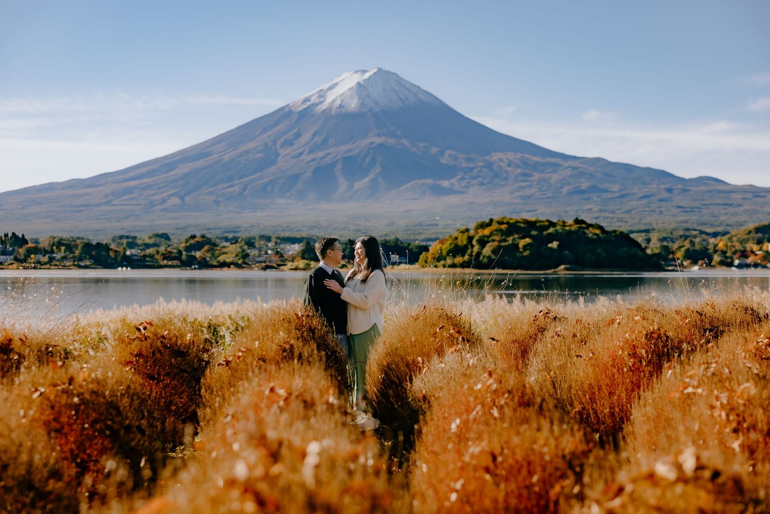 Scenic panoramic view of Mount Fuji rising above golden autumn fields during sunset in Japan.