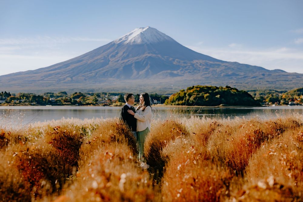 Scenic panoramic view of Mount Fuji rising above golden autumn fields during sunset in Japan.