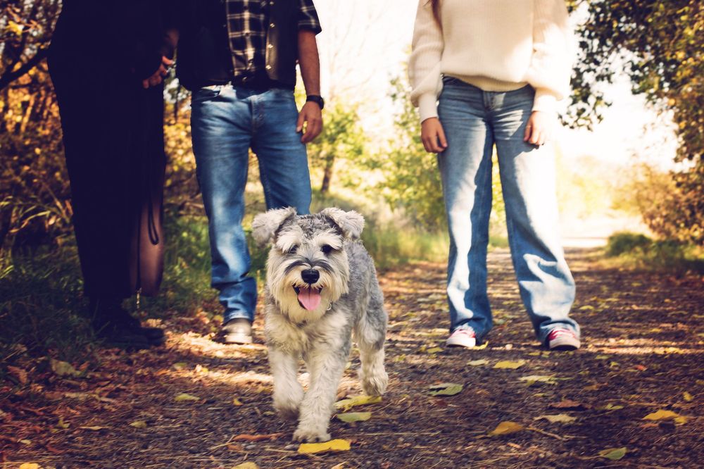 Family Session, Lifestyle session in Okotoks, Alberta