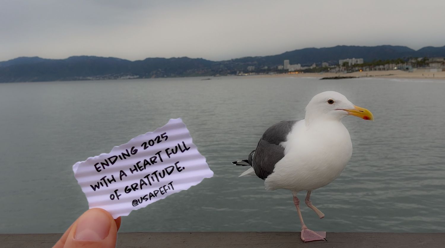 Seagull perched on railing with coastal mountains and water in background at sunset.