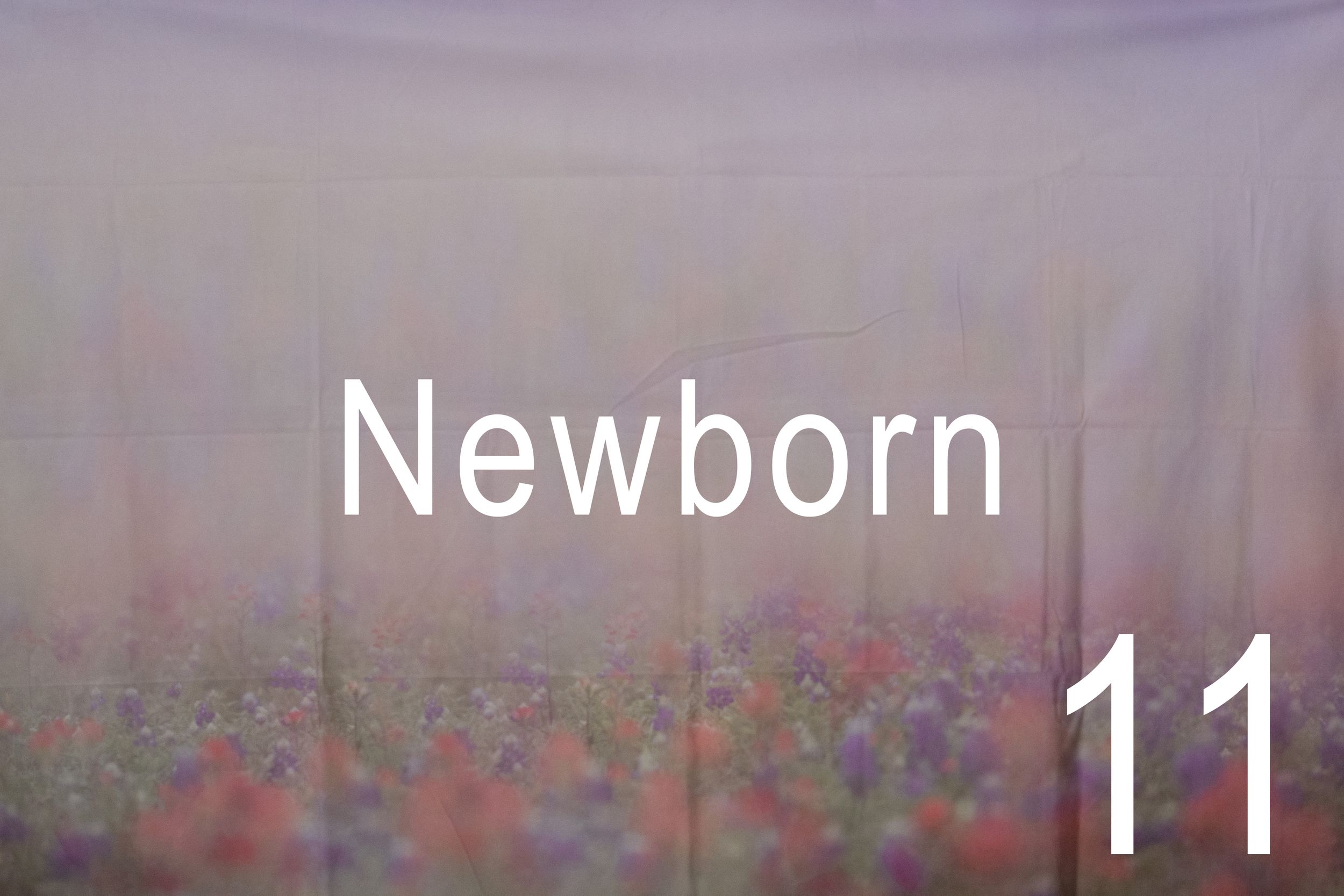 Text reading 'Newborn 11' overlaid on a soft blurred background of colorful flowers.