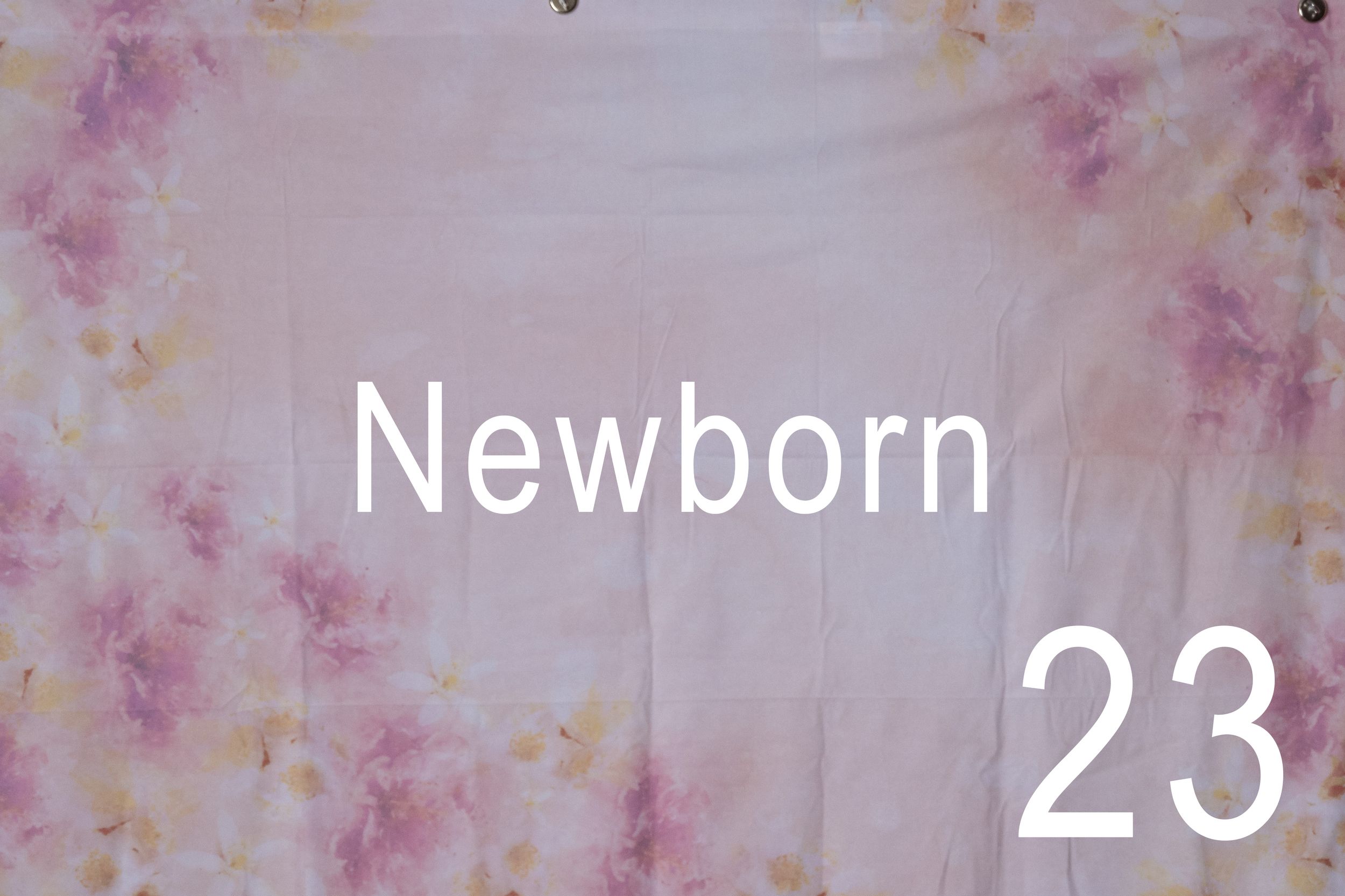A soft pink floral background with white text displaying the word 'Newborn' and the number '23'.