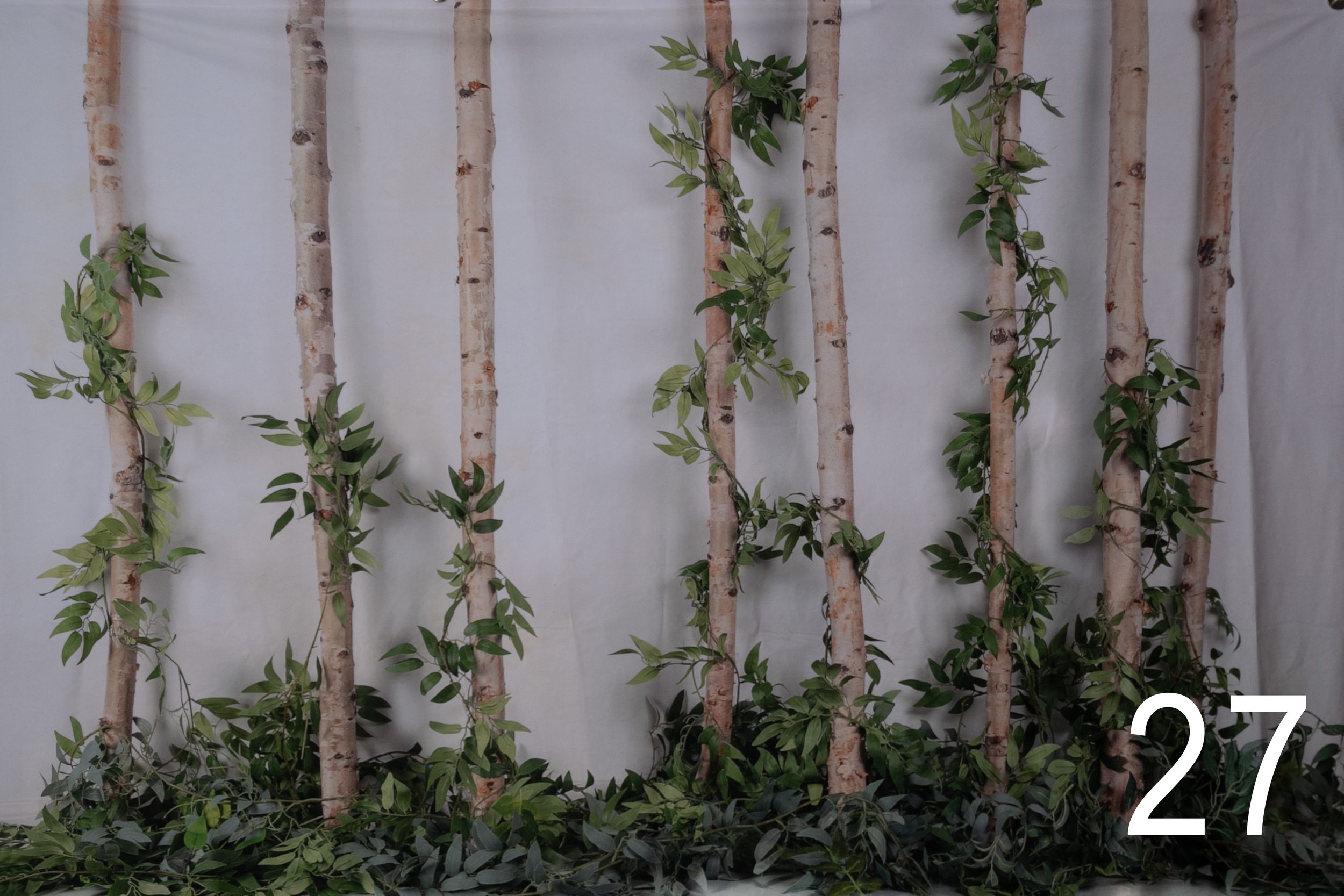 Bamboo poles line a white wall with climbing vines and green foliage creating a natural garden backdrop.