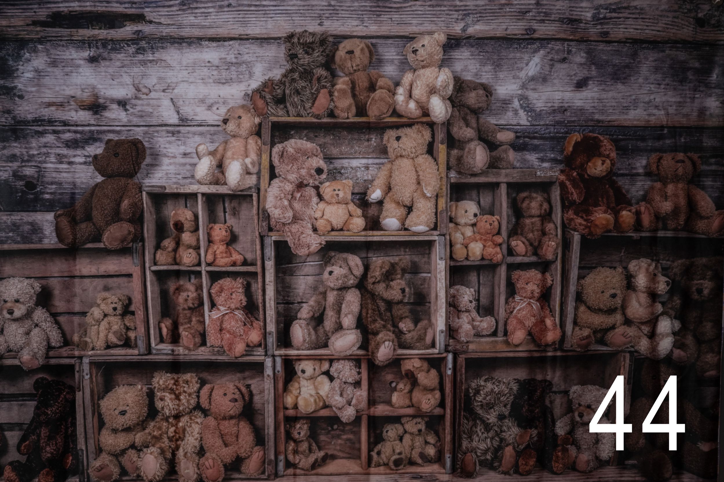 A series of old photographs arranged in a horizontal row on a weathered wooden background with vintage sepia tones.