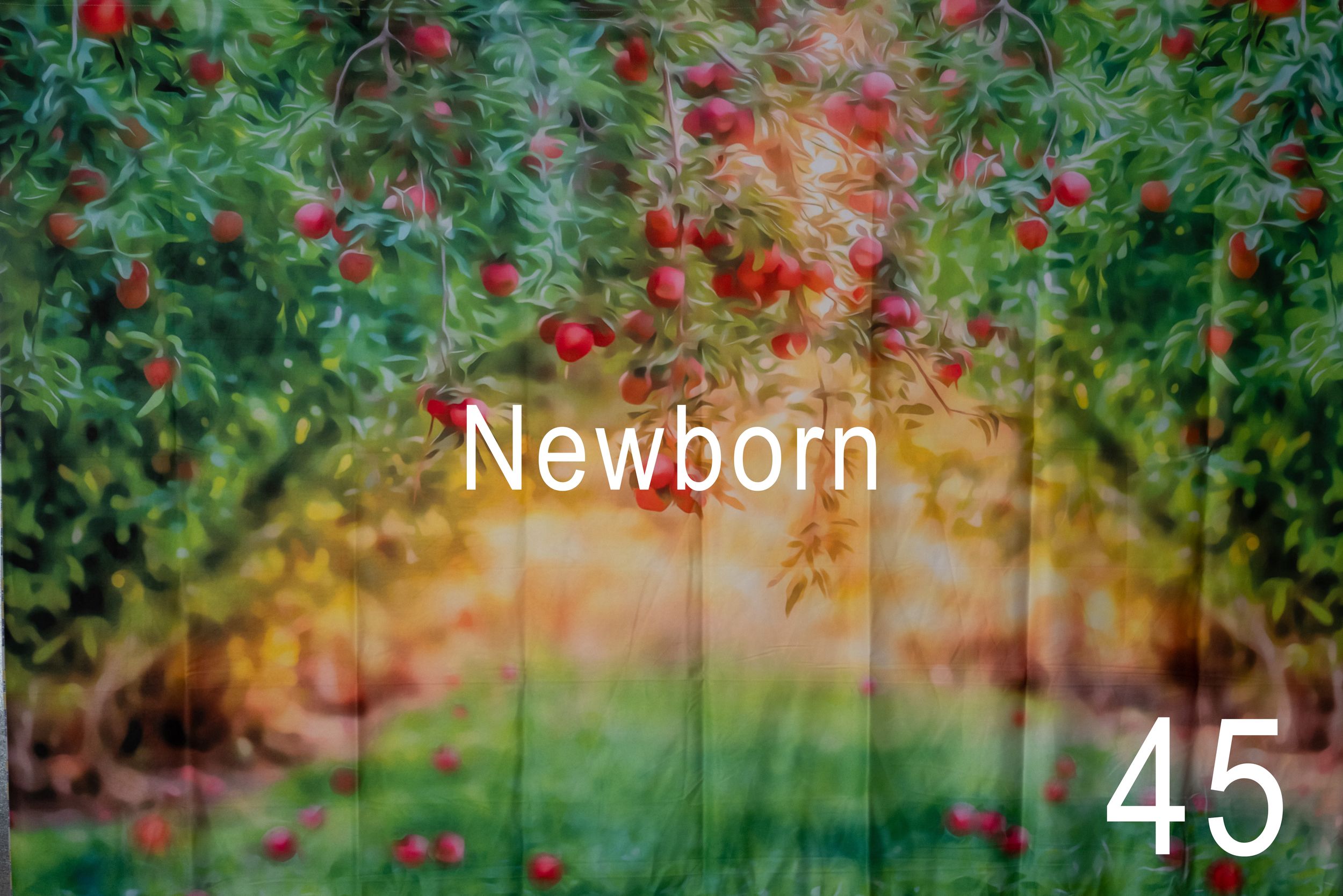 Red flowers bloom against lush green foliage in a garden setting with soft bokeh lighting effects.
