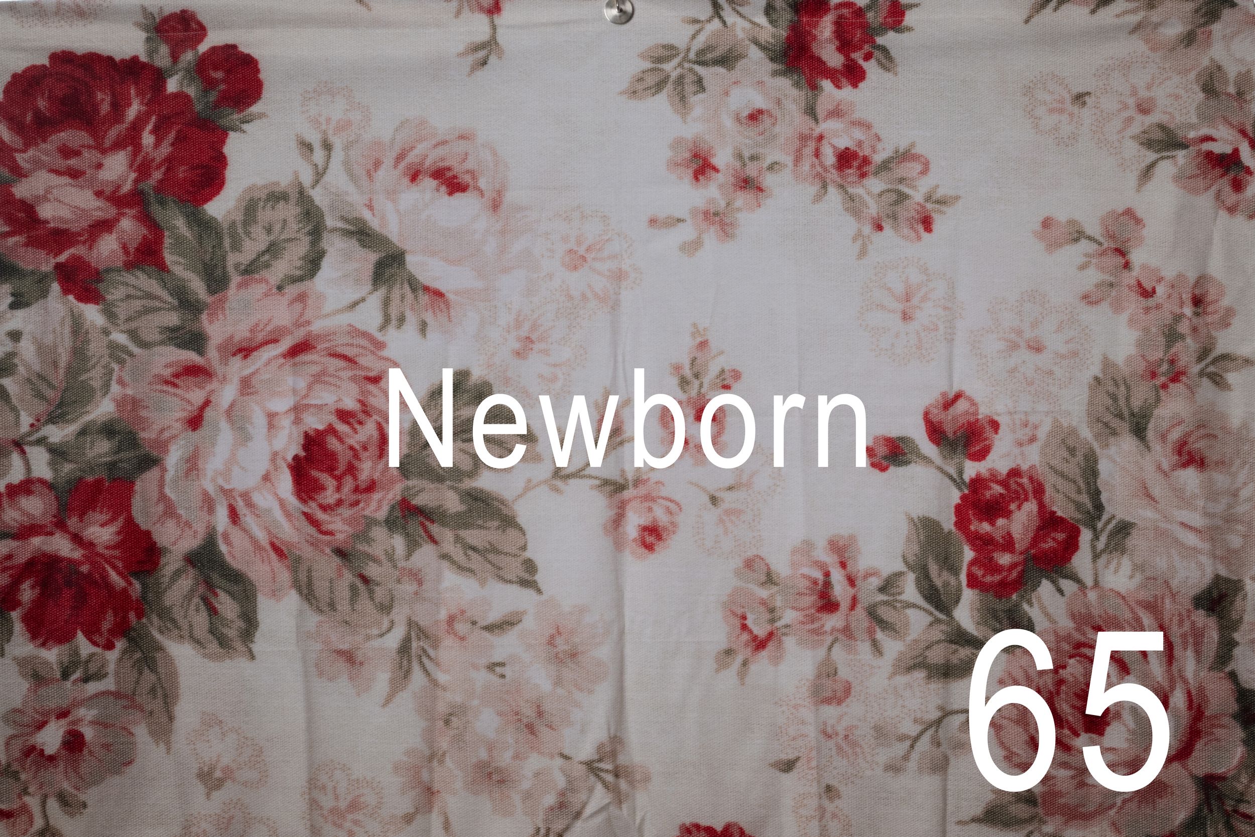 Vintage floral wallpaper pattern featuring red and pink roses with gray leaves on a white background.