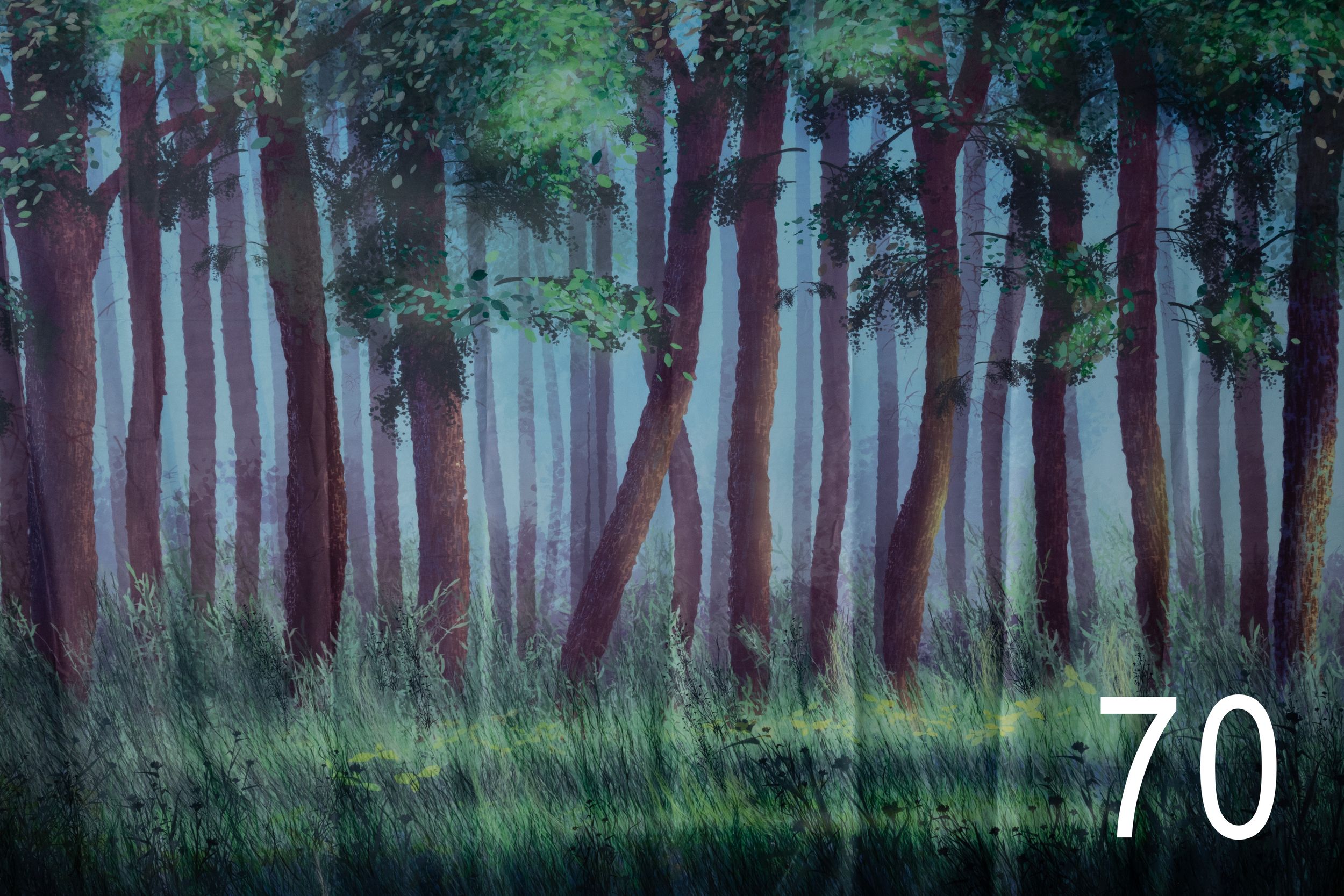 Misty forest landscape with tall trees creating an ethereal atmosphere in natural lighting.