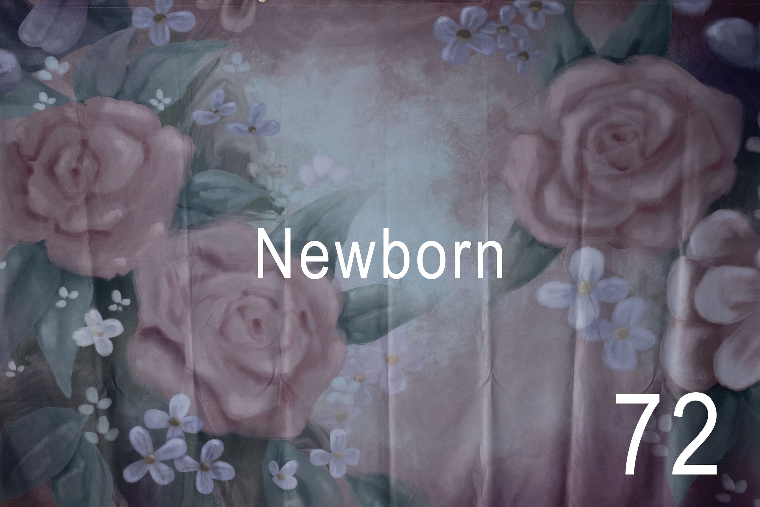 Delicate pink roses and floral patterns arranged in a soft, vintage-style collage design.