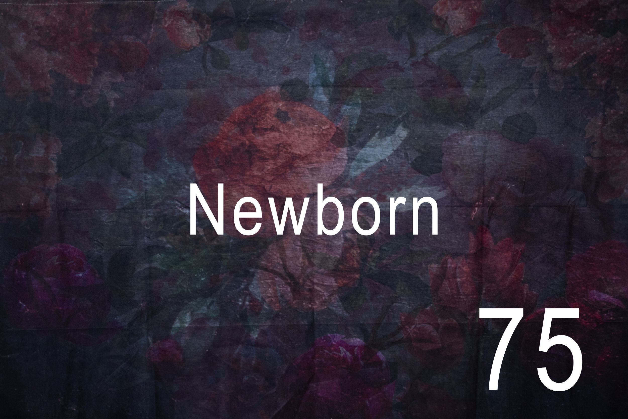 Artistic dark red and black abstract background with white text displaying the number 75 in the corner.