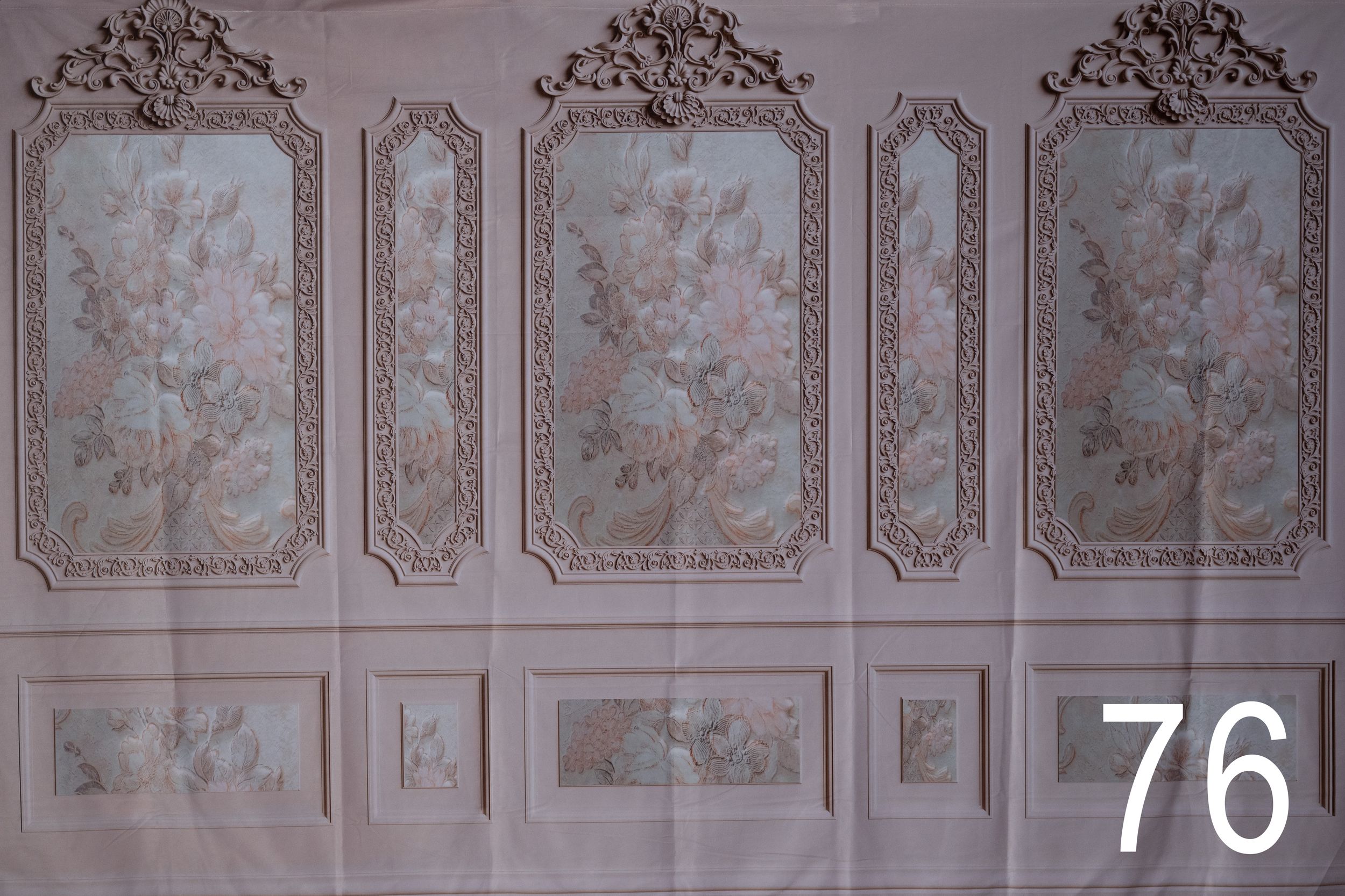 Ornate baroque ceiling with intricate white plasterwork decorations and framed panels in a historic palace interior.