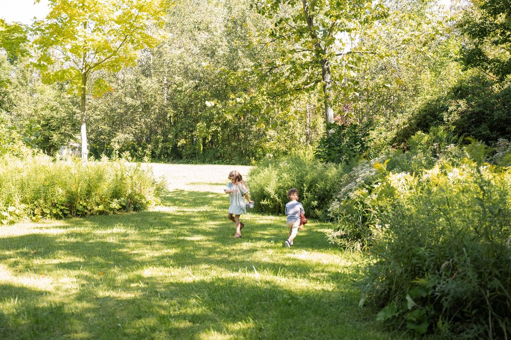 People walking and jogging on a sunny path through a lush green park with trees and grass on a bright summer day.