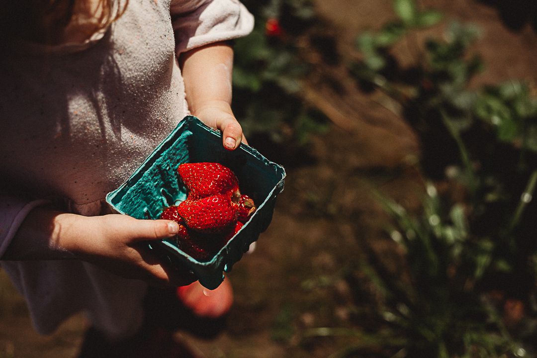 Child holding a green basket of fresh red strawberries in a sunny garden setting.