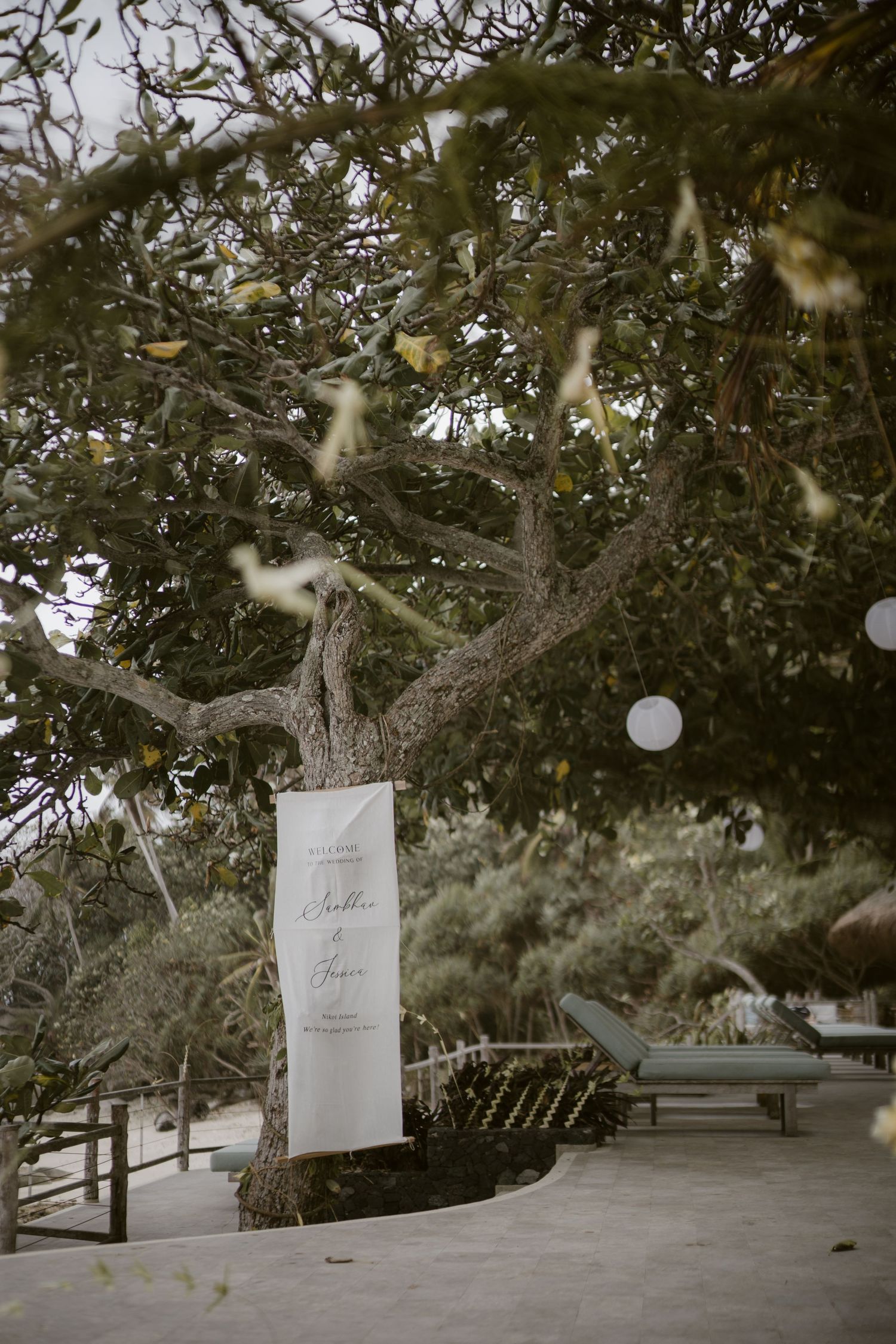 Elegant wedding welcome banner hanging from tree with white lanterns at tropical outdoor venue.
