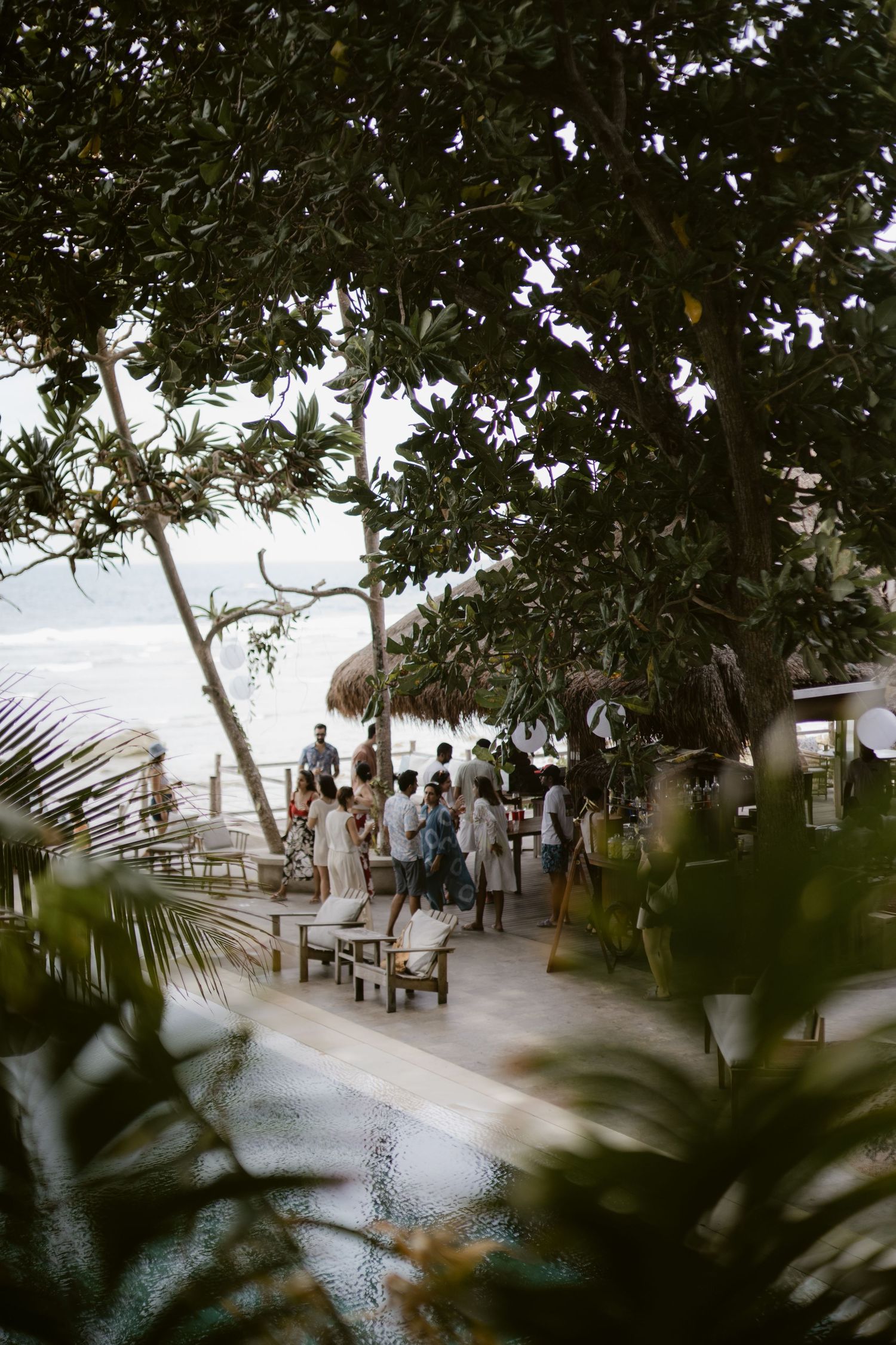 Tropical beachside venue with lush trees and guests mingling on a terrace overlooking the ocean.