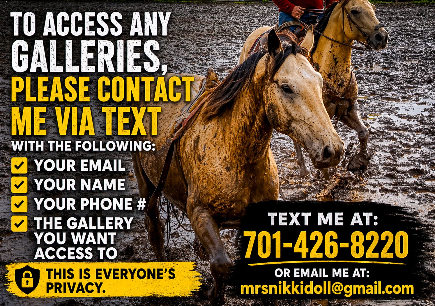 A photographer advertises private gallery access via text or email, featuring a dynamic horse riding action shot in muddy terrain.