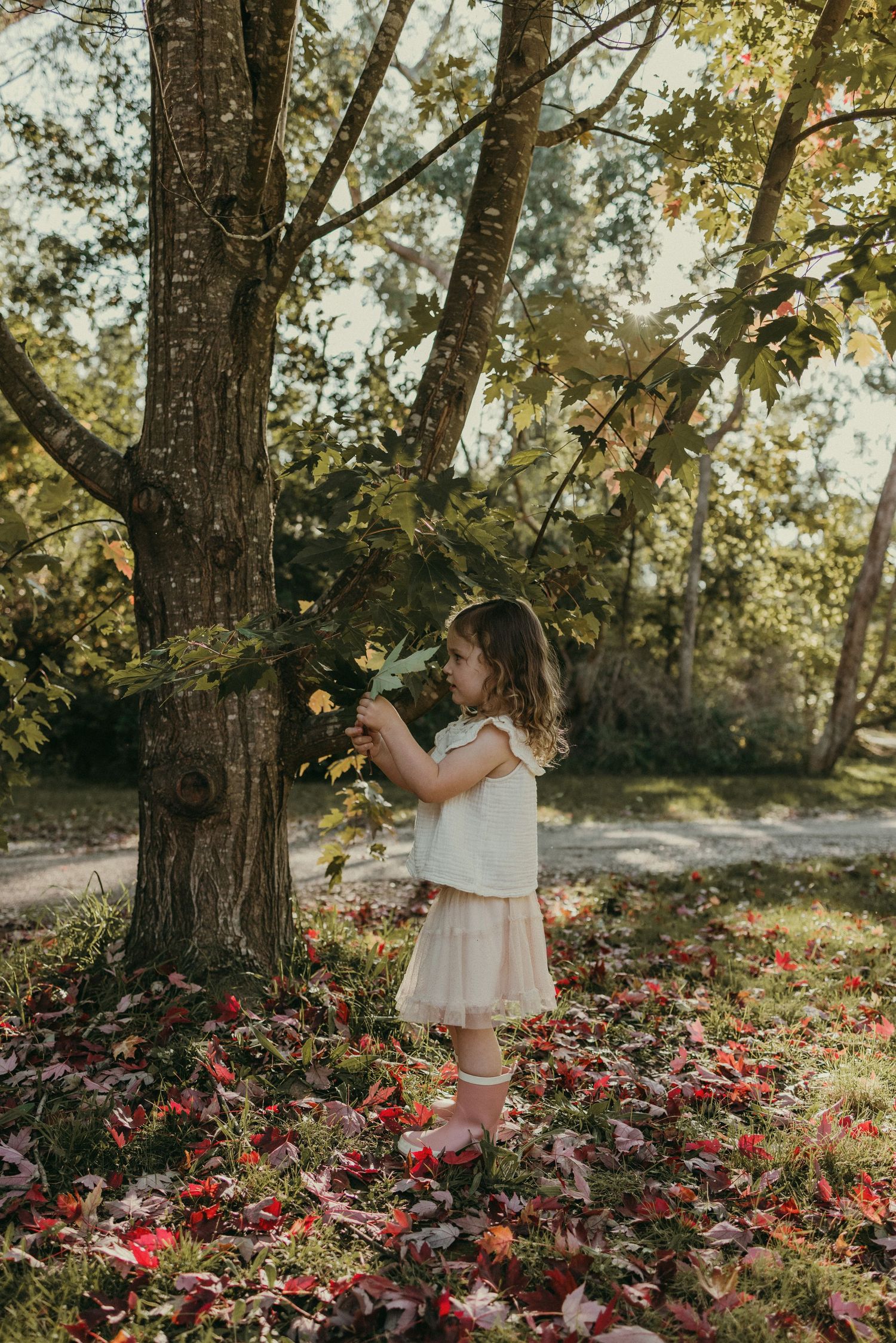 Geelong Lara Torquay Ocean Grove Barwon Heads newborn maternity pregnancy family motherhood couples photographer photography photoshoot
