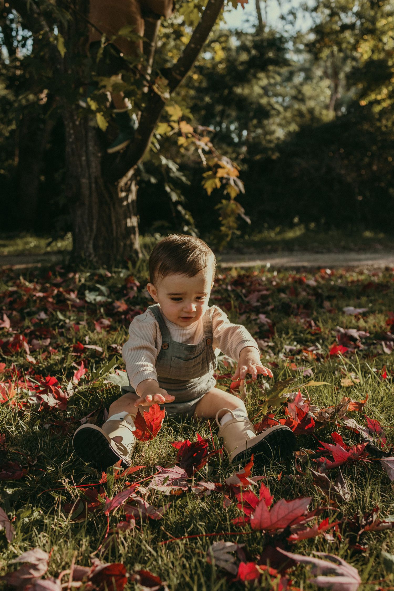 Geelong Lara Torquay Ocean Grove Barwon Heads newborn maternity pregnancy family motherhood couples photographer photography photoshoot