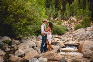 Couple embracing on rocky mountain stream surrounded by lush green trees in a romantic outdoor engagement photo.