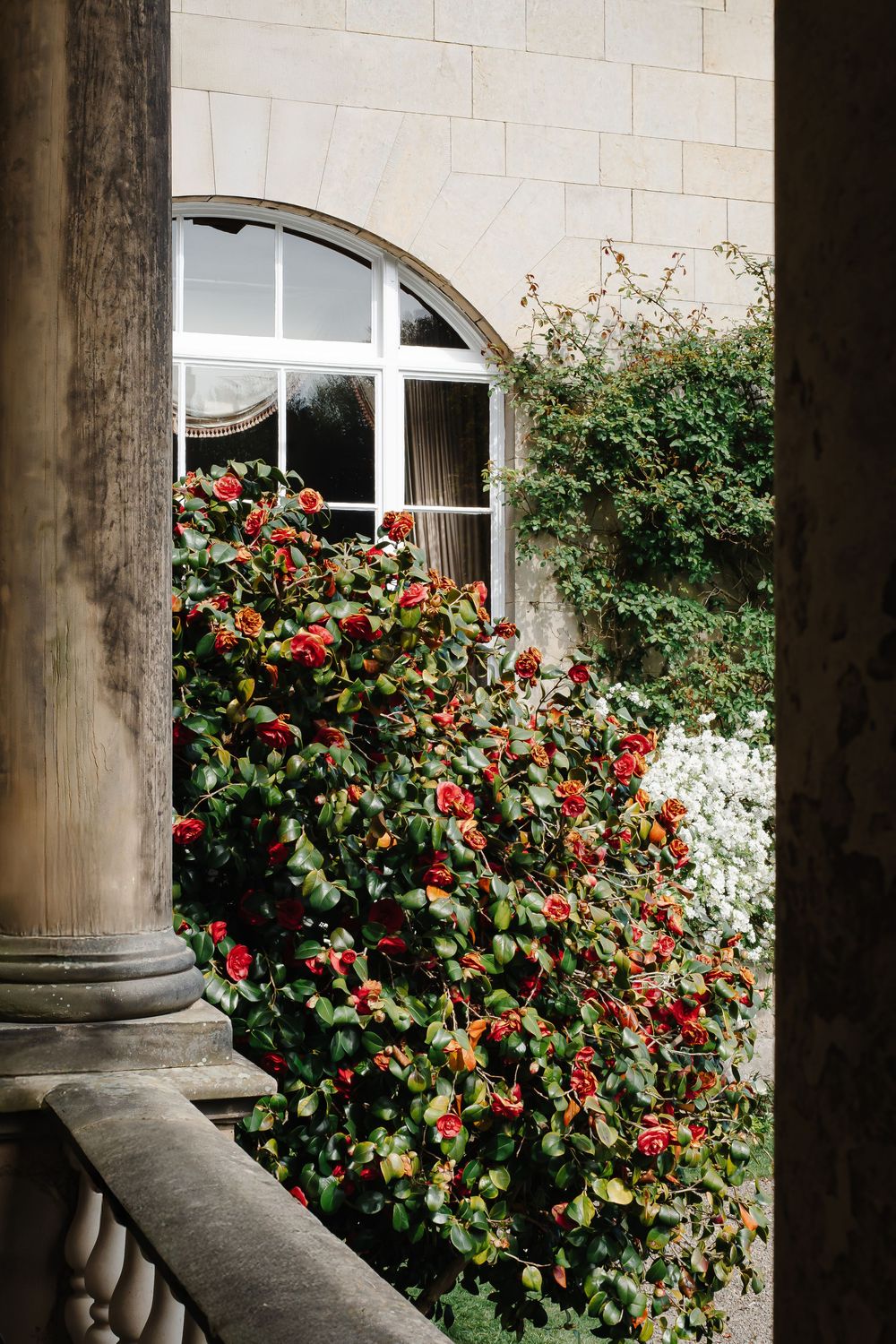 Red climbing roses and white flowers against stone column and arched window of manor.